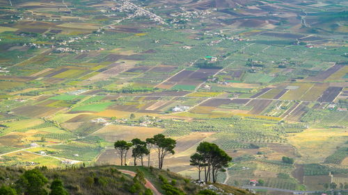 Aerial view of agricultural field