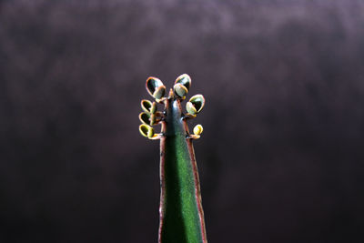 Low angle view of metallic structure