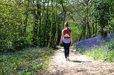 Rear view of woman walking on footpath amidst trees