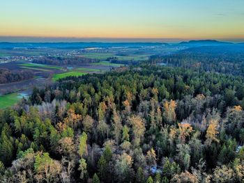 High angle view of trees on landscape against sky