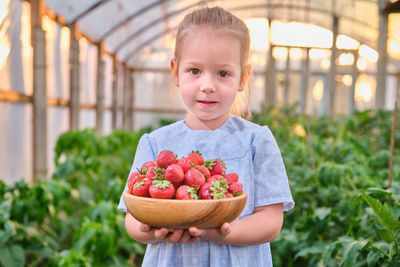 Adorable little girl holding plate fresh picked ripe strawberries berry farm