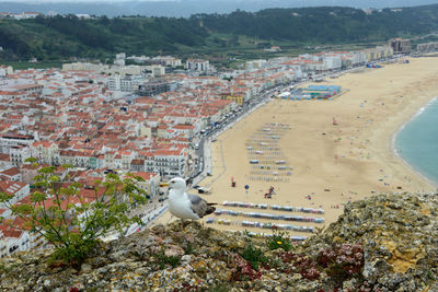 High angle view of townscape