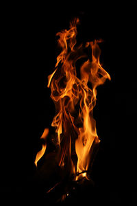 Close-up of fire in the dark