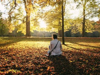 Rear view of woman sitting on dry leaves covering field against autumn trees