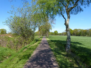 Footpath amidst trees on field against sky