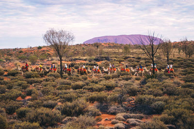 Group of people on field against sky