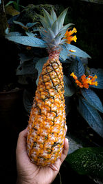 Close-up of hand holding ice cream cone