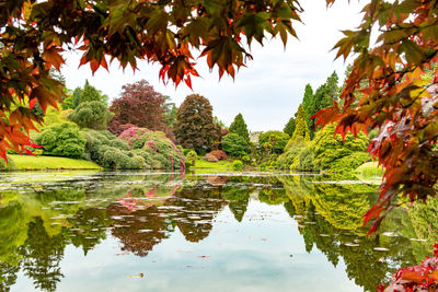 Scenic view of calm lake at sheffield park garden