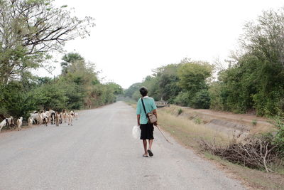 Rear view of man walking on road against trees