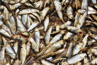 Full frame shot of fish for sale in market