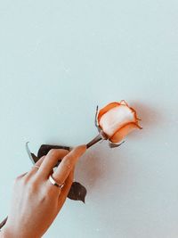 Directly above shot of hand holding rose on white table