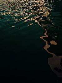 High angle view of swimming pool in lake