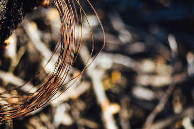 High angle view of rusty metal string