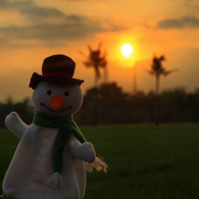 focus on foreground, sunset, toy, human representation, sky, close-up, childhood, creativity, art, animal representation, field, holding, art and craft, orange color, grass, person, sunlight, outdoors, nature