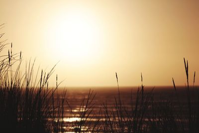 Scenic view of sunset over field