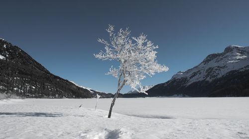 Scenic view of snow covered mountains