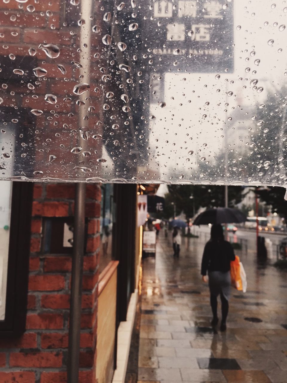 walking, indoors, men, lifestyles, rain, person, architecture, wet, built structure, city, city life, full length, building exterior, window, rear view, street, leisure activity, transportation