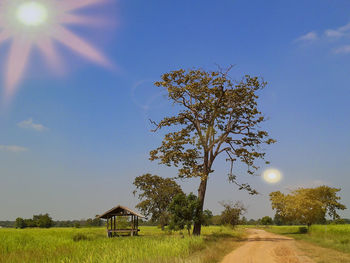 Fields with big trees and cabins