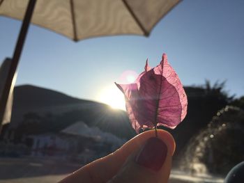 Cropped hand holding leaf against sky