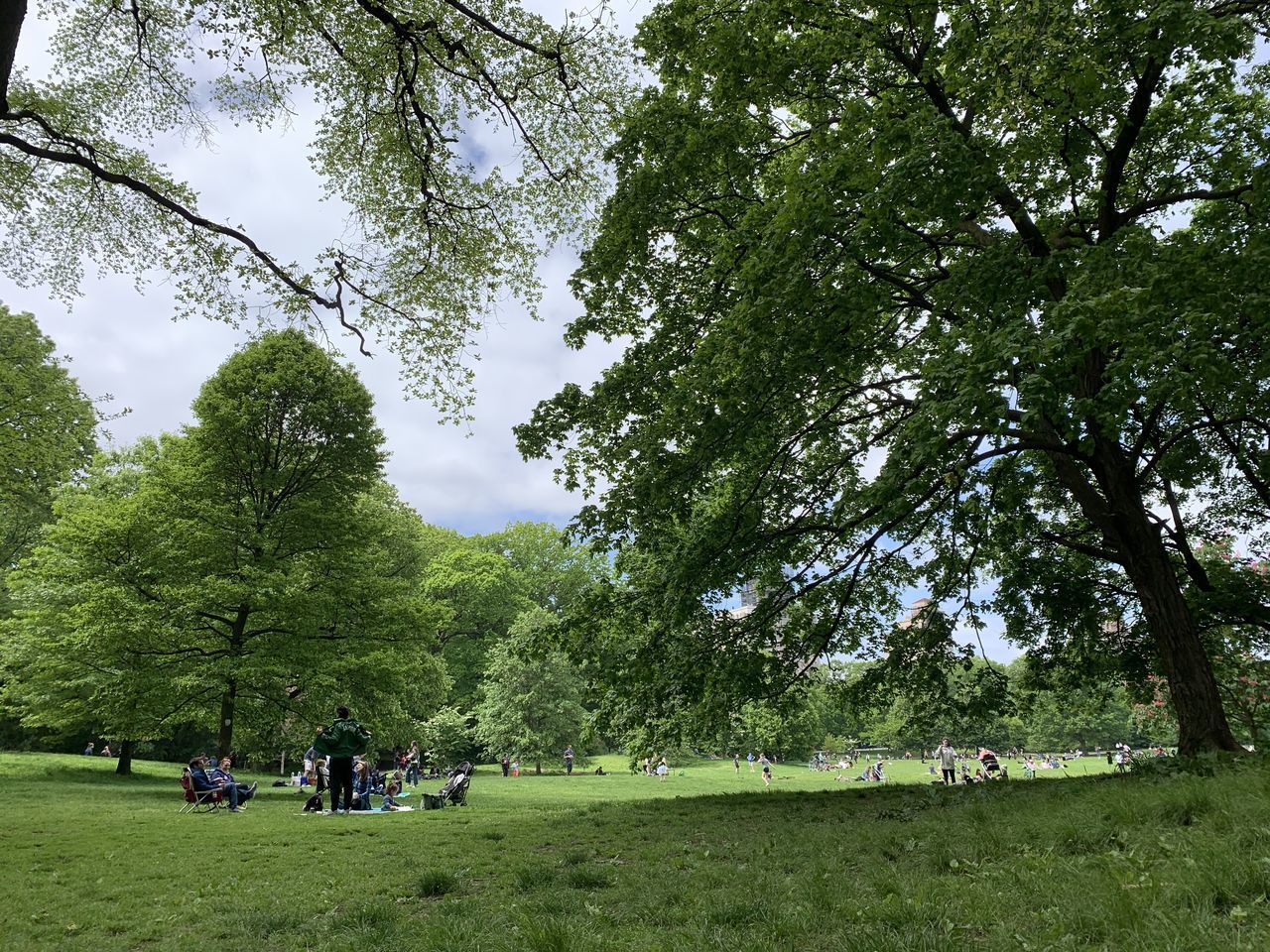 GROUP OF PEOPLE ON FIELD