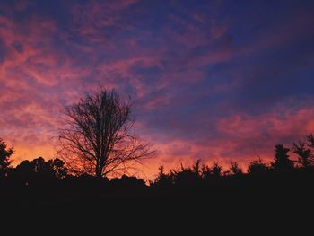 Silhouette trees against sky during sunset