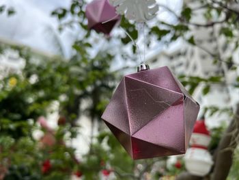 Cropped image of man holding plant