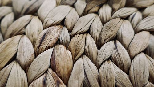 Full frame shot of leaves