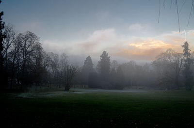 Trees on field against sky during sunset