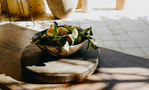 High angle view of potted plant on table