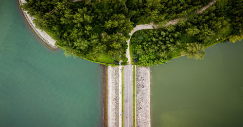 Aerial view of road amidst sea by forest