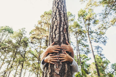 Cropped hands embracing tree outdoors