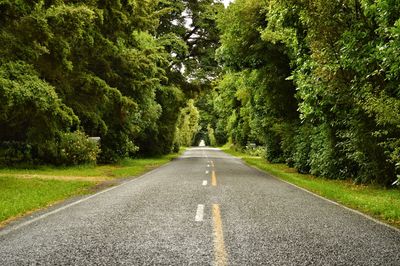 Empty road along trees