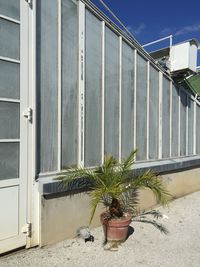 Plants against building