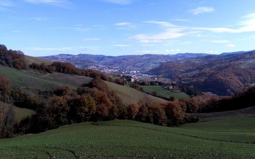 Scenic view of agricultural field against sky