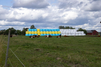 Scenic view of field against sky