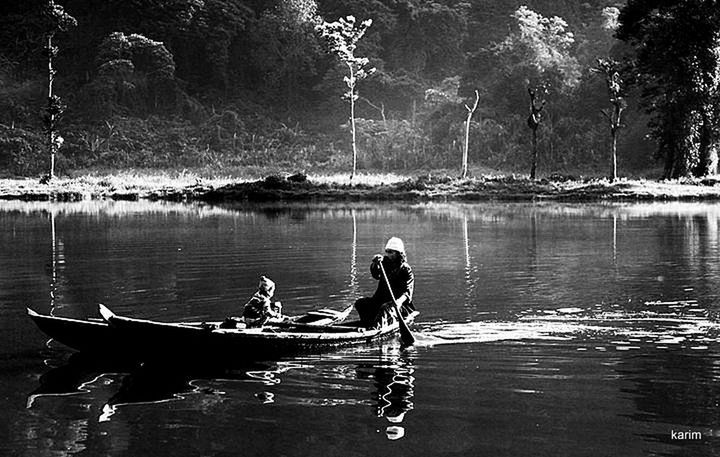 water, lake, reflection, waterfront, tree, tranquility, nature, nautical vessel, tranquil scene, beauty in nature, boat, scenics, day, rippled, river, outdoors, forest, one person, floating on water, idyllic