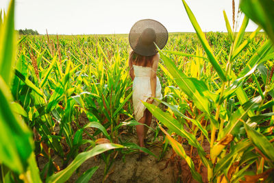 Full frame shot of crop in field