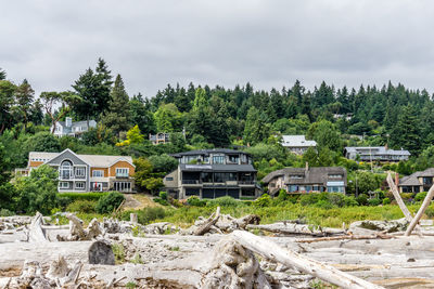 Houses by trees against sky