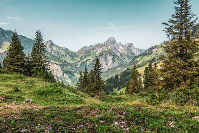 Panoramic view of the austrian alps