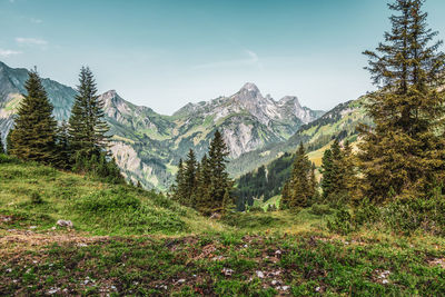 Panoramic view of the austrian alps