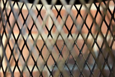 Close-up of chainlink fence