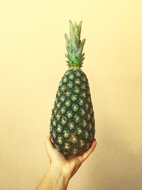 Close-up of hand holding fruit against white background