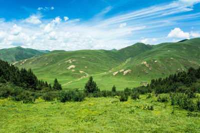 Scenic view of landscape against sky