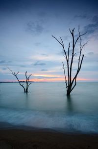 Bare tree by sea against sky during sunset