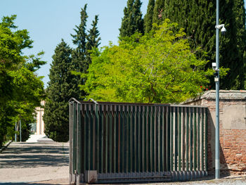 Footpath by street in city