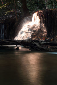 Scenic view of waterfall in forest