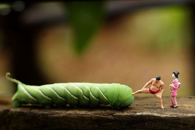 Caterpillar by figurines on wooden railing