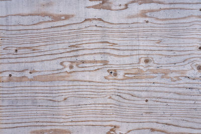 Close-up of weathered wooden plank