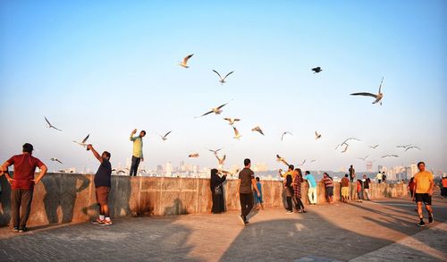 Group of people and birds on promenade against sky in city