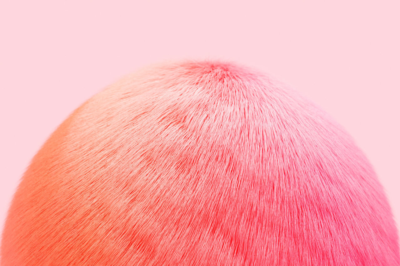 CLOSE-UP OF PINK AND WHITE BACKGROUND